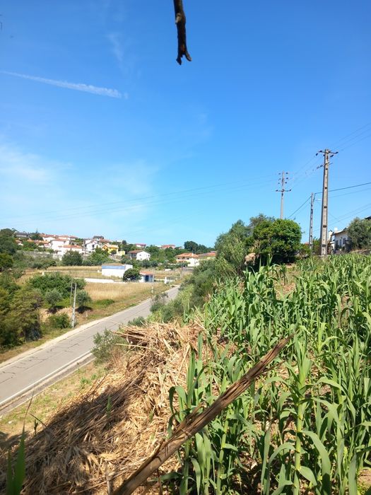 Vendo terreno urbano 1300m2 Trouxemil