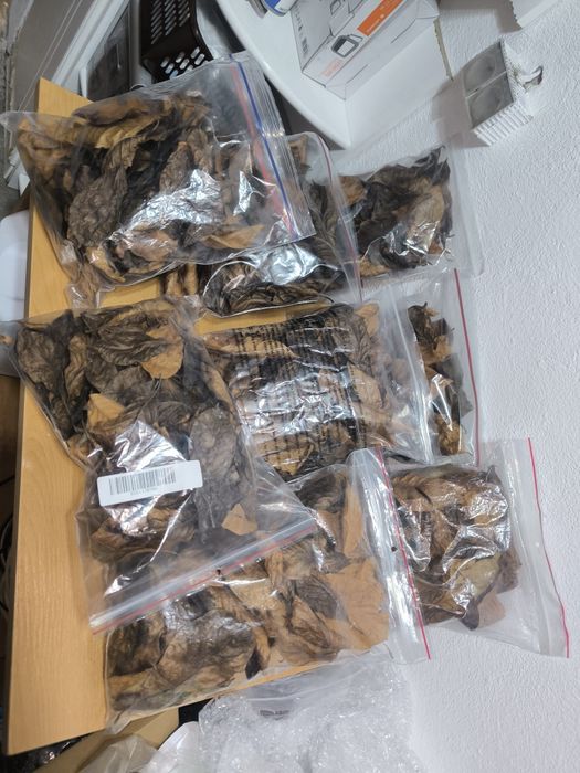 Liście suszone worki 3,6L akwarium terrarium paludarium wystrój