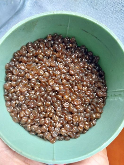 Klej stolarski skurny