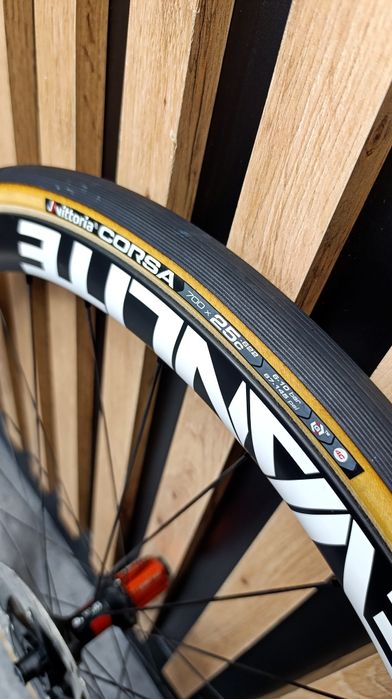 1450g DT 240 Evanlite New Disc koła szosowe carbon stożek 38mm Ratchet