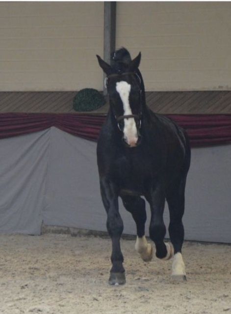 Ogier Śląski Rekrut