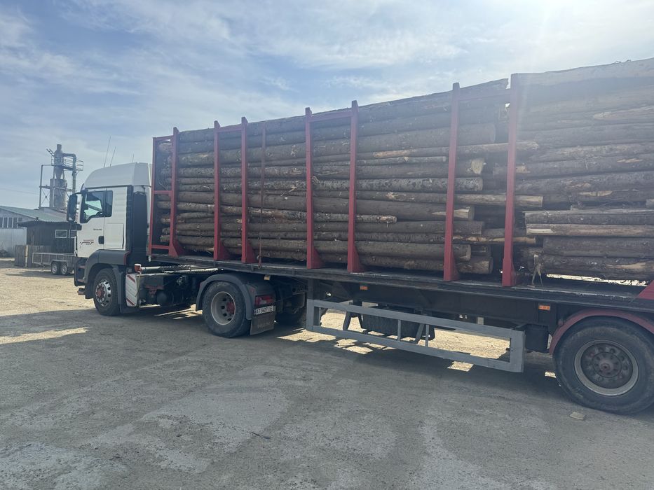 Напівпричіп-лісовоз 3-вісний в наявності, нова ризина