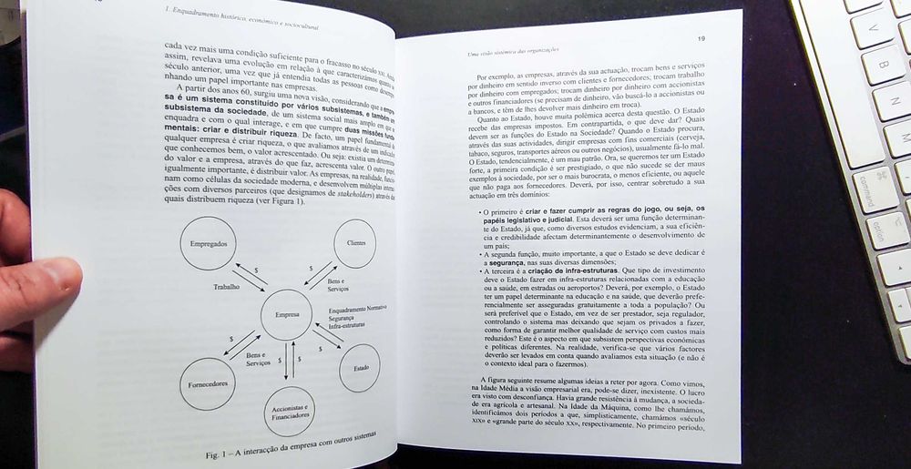 Estratégia e Competitividade, de Luís Cardoso
