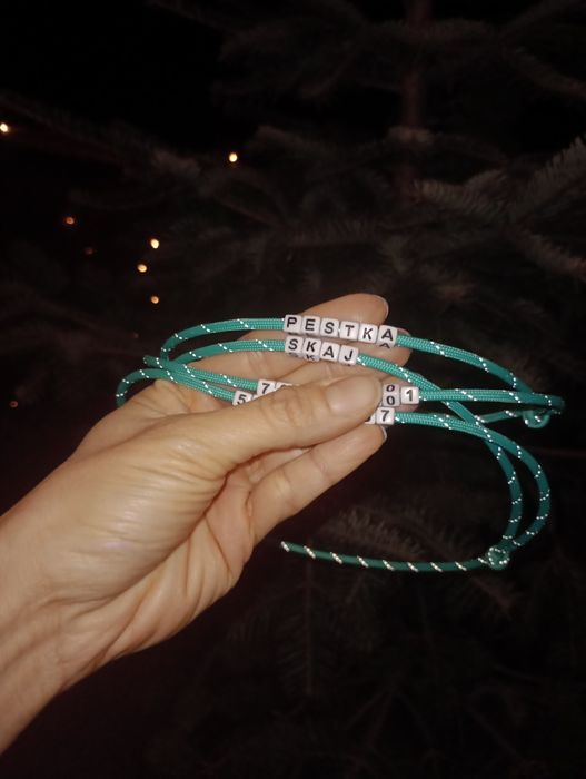 Adresówka odblaskowa dla psa