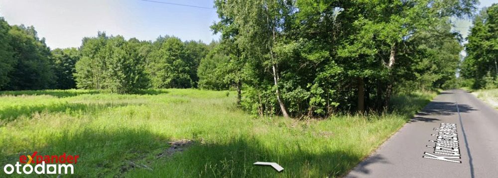 Działka rolno-budowlana Dąbrowa Górnicza otulona lasem.