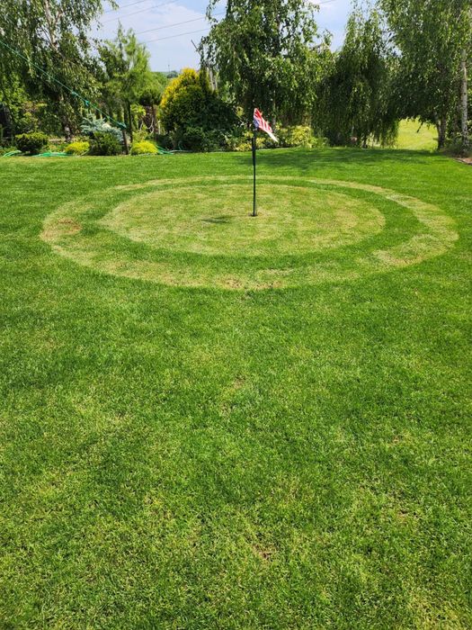 Dom na wynajem, pokoje mieszkanie