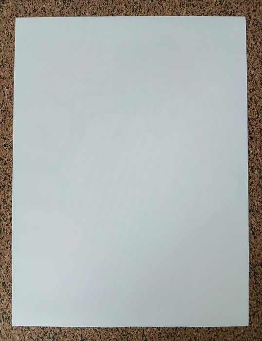 Poster - Japanese Female (tela, 30x40 cm)