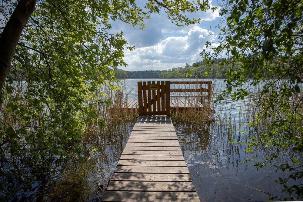 Domek Sylwester w Borzechowie