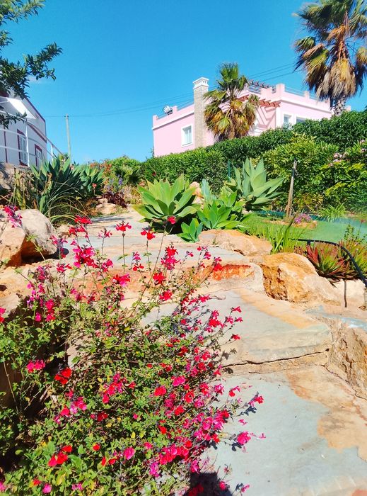 Manutenção de jardins e limpezas de terrenos