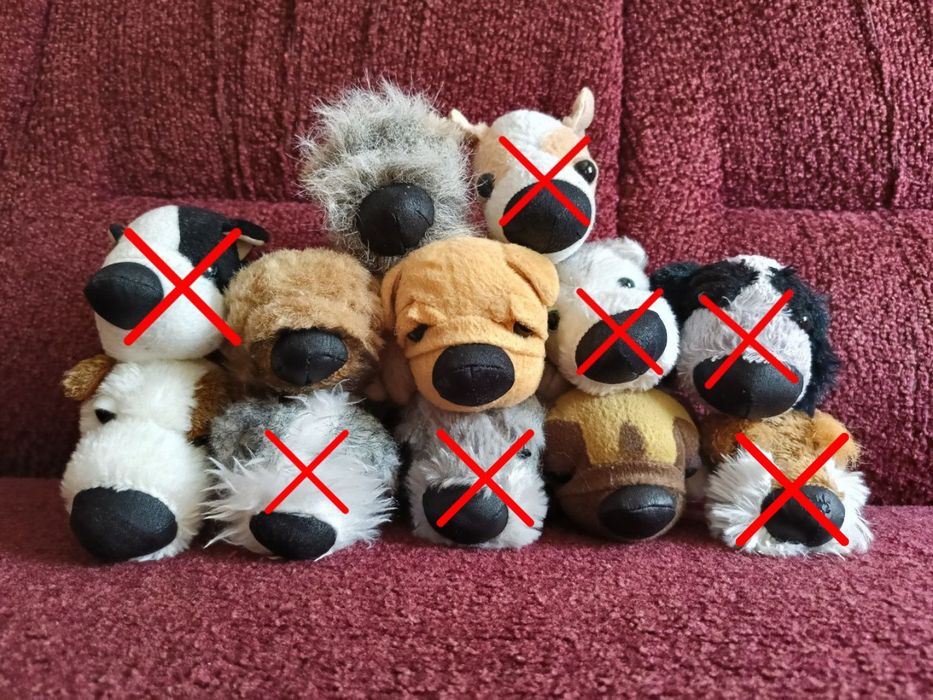 The Dog Collection