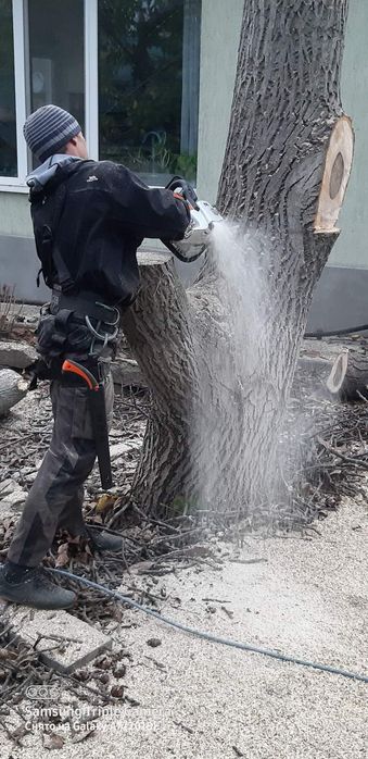 Спил, обрезка. Измельчение веток.