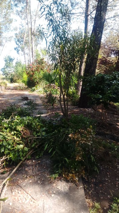 Limpezas de jardim e Pinhais