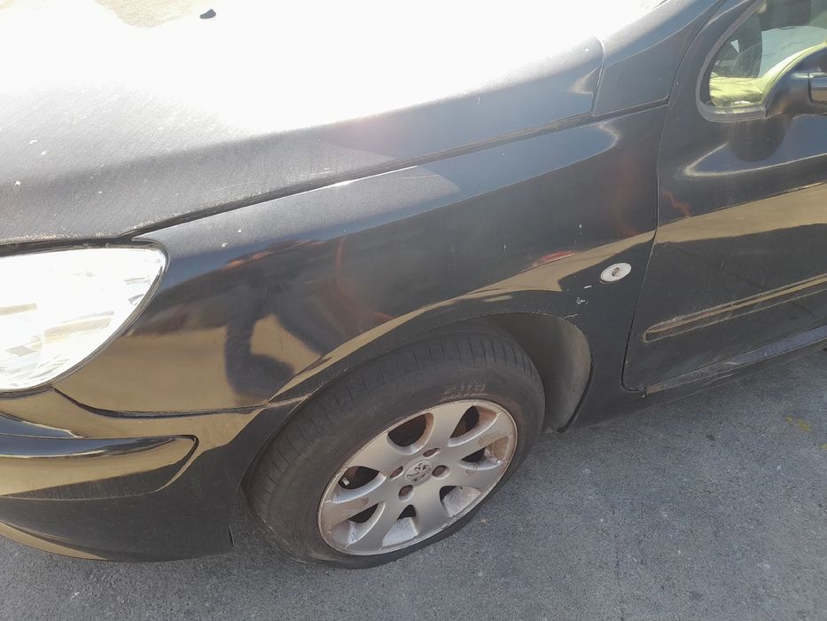 Guarda-lamas esquerdo PEUGEOT 307 (3A/C)