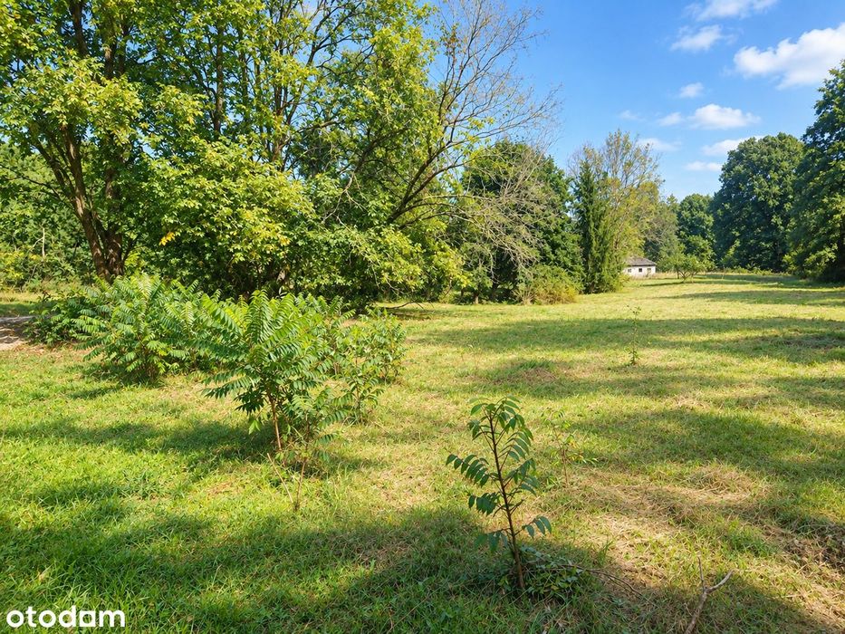 2891 m² | WZ na dom | Prąd 3-fazowy | Droga asfaltowa