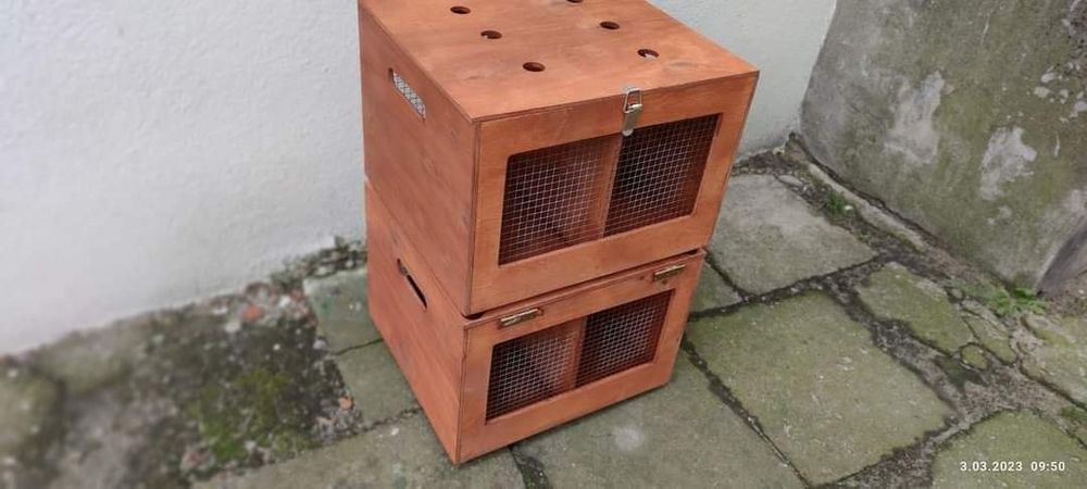 Królik Transporter 50