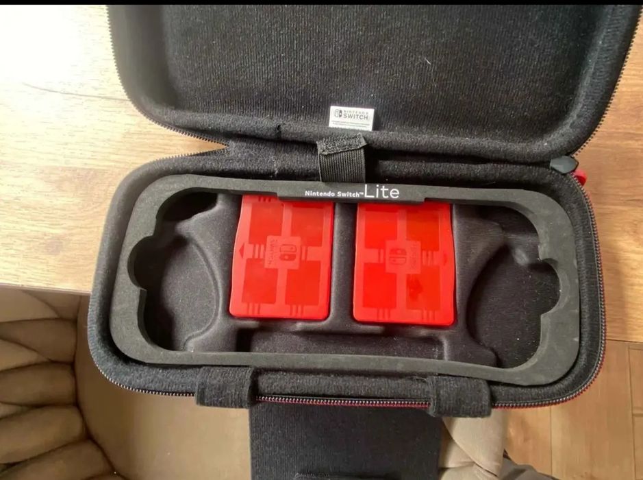 Nintendo switch little