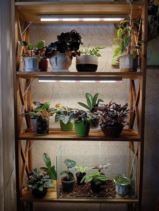 Фитосветильник Samsung LM301H Evo  – 30 ватт