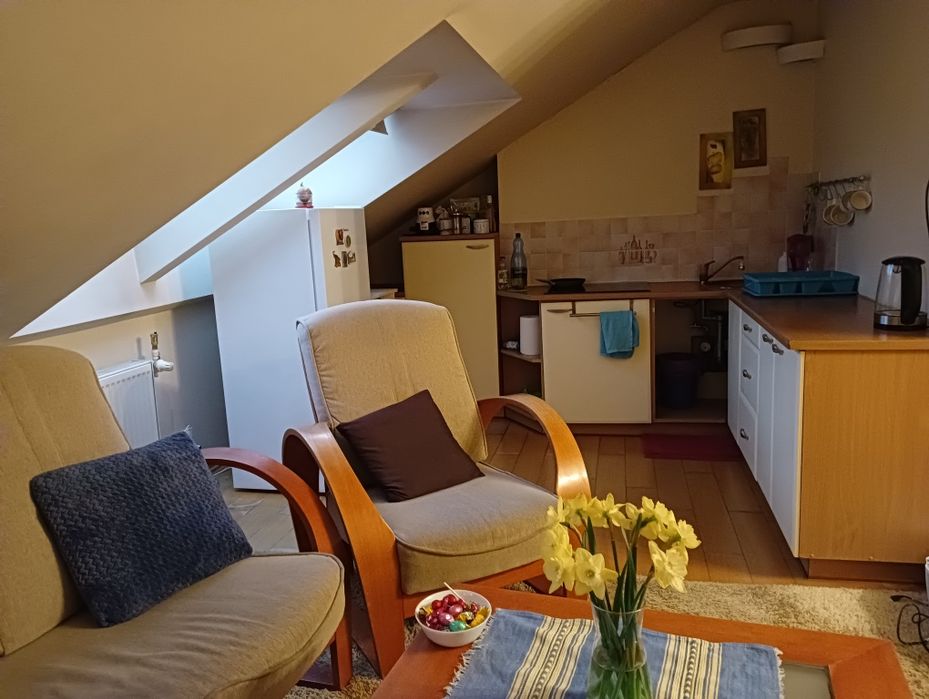 Pokój do wynajęcia