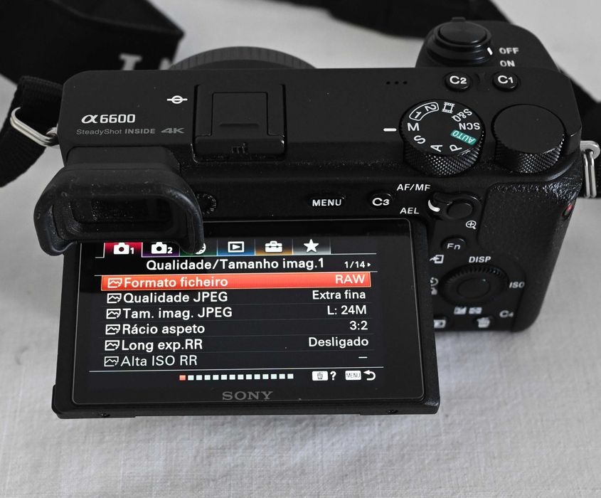 Sony Alpha a6600