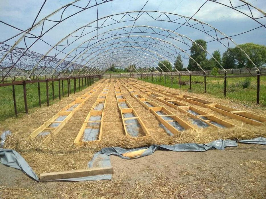 Продаж землі Тепличний комплекс 2,53 га Готовий бізнес с. Глібівка.