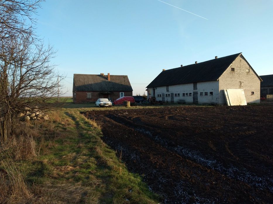 Gospodarstwo Jabłków gmina Kramsk 5.74 ha