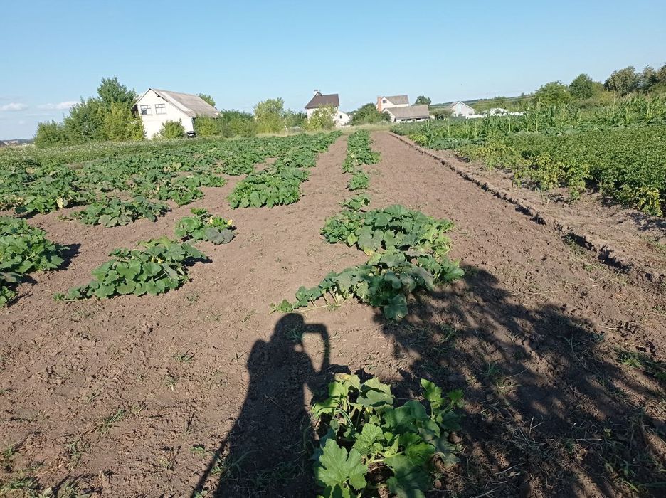 Продам земельну ділянку 10 соток