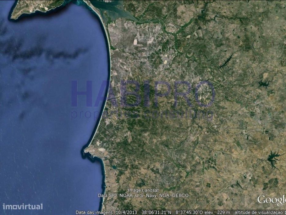 Boa herdade Florestal e mista, caça no Baixo Alentejo