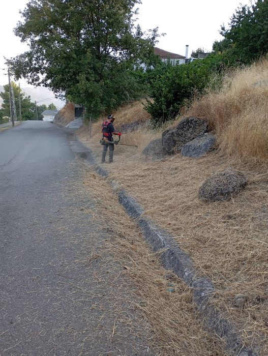Limpezas de jardins e terrenos