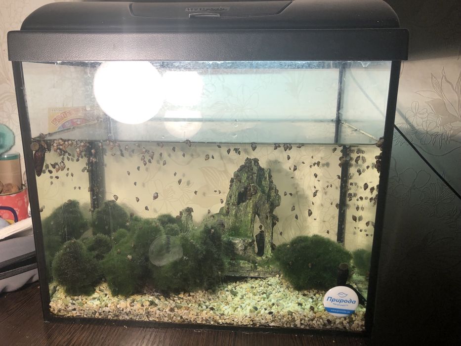 Аквариму 35 литров с крышкой