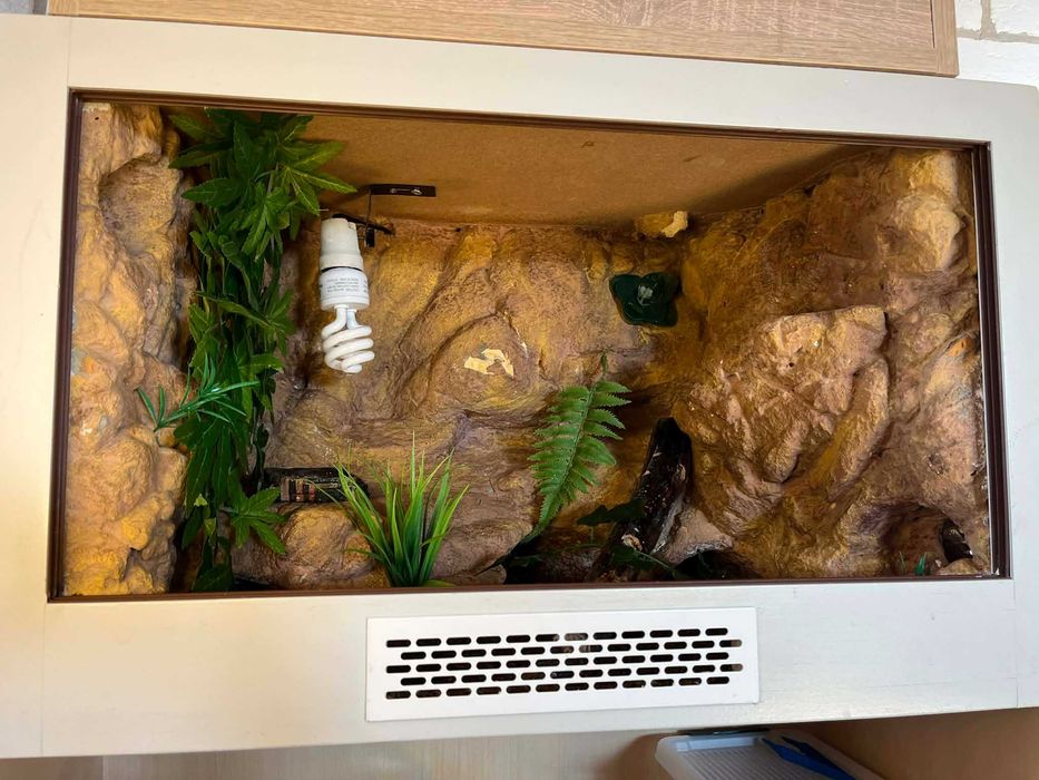 Terrarium szklane z wyposażeniem