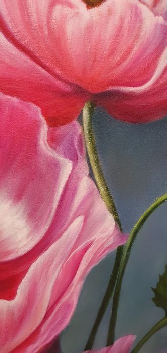 Картина Рожеві маки олійними фарбами