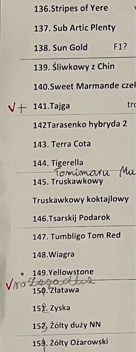 pomidory, nasiona ekologiczne kolekcjonerskie. Wielki wybór