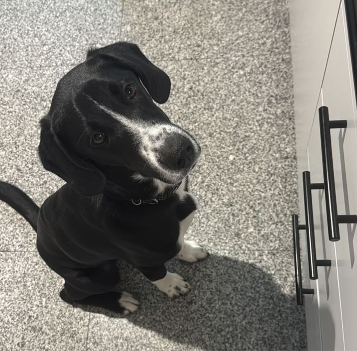 Duks procura novo lar