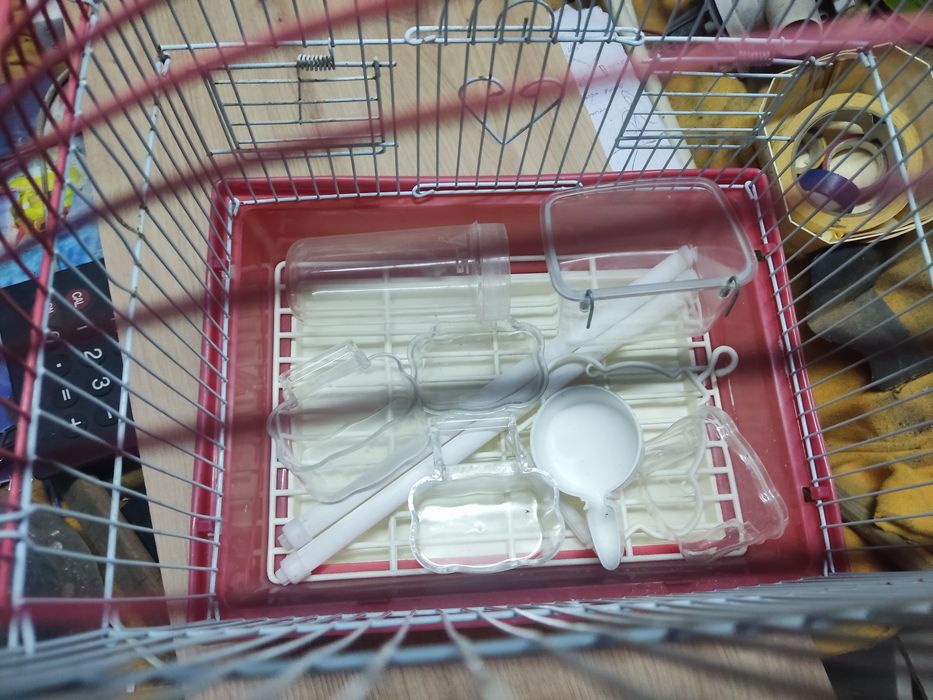 Gaiola para pássaro pequena