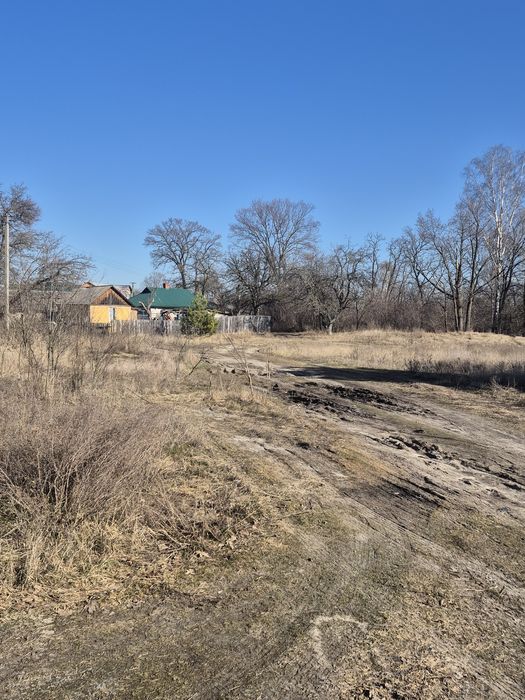 Продам -98сот- с.Хотянівка,під забудову,на ділянці ліс,електромережа.