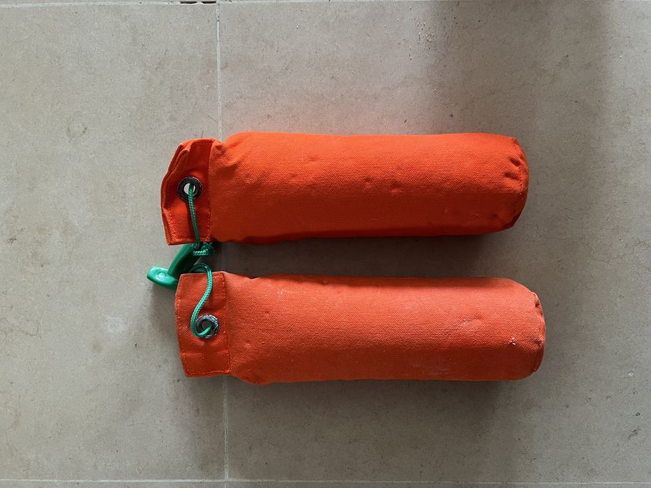 Cães - Brinquedos água