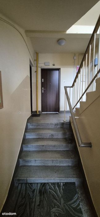 Zdjęcie 8