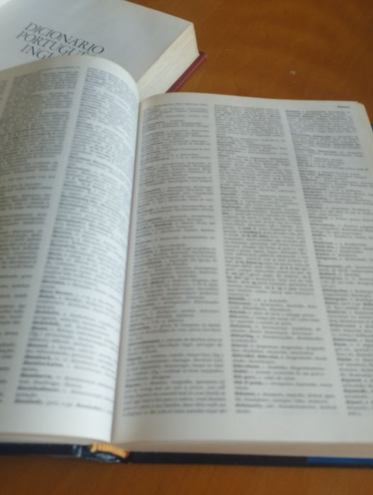 Dicionários inglês/português