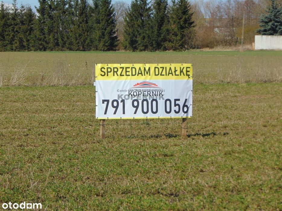 Działka Wymysłowo Wz. pow. toruński - Widok 5