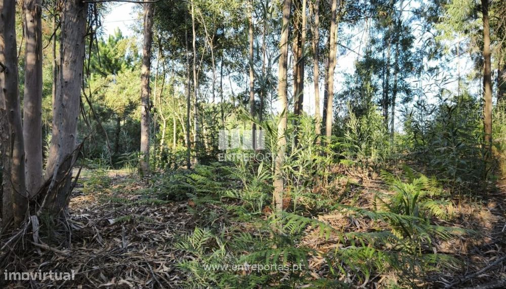 Venda de Terreno para construção, Meixedo, Viana do Castelo — Nogueira, Meixedo E Vilar De Murteda, Viana do Castelo
