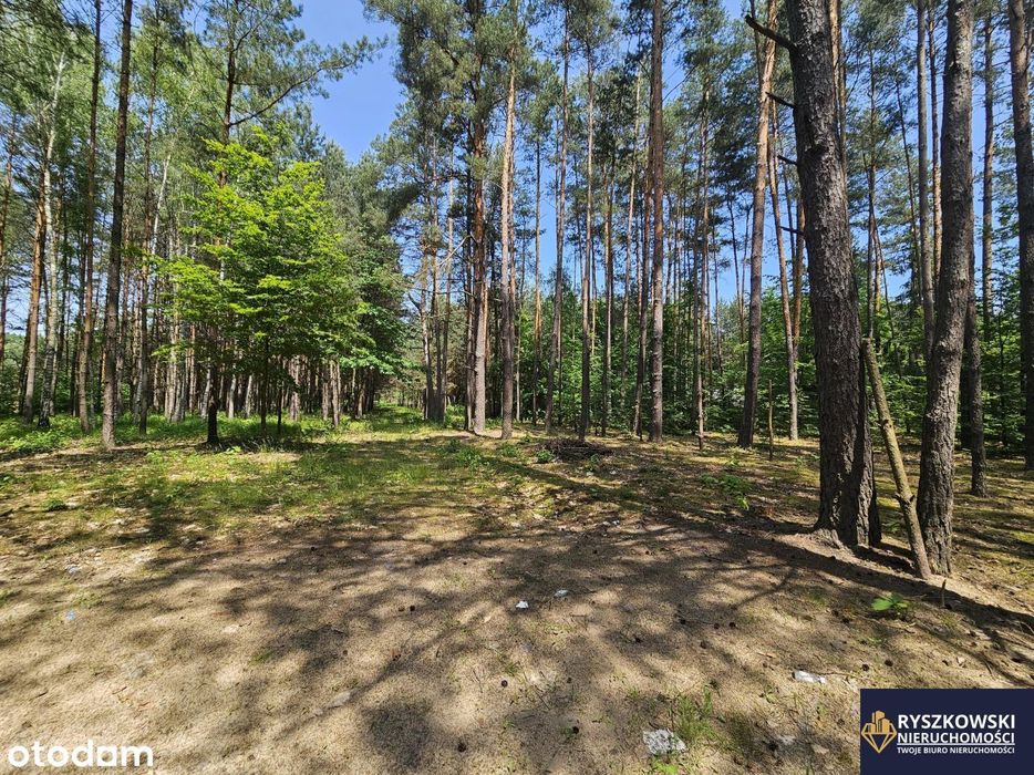 Działka budowlana 10a Roztocze Trzepieciny Bondyrz