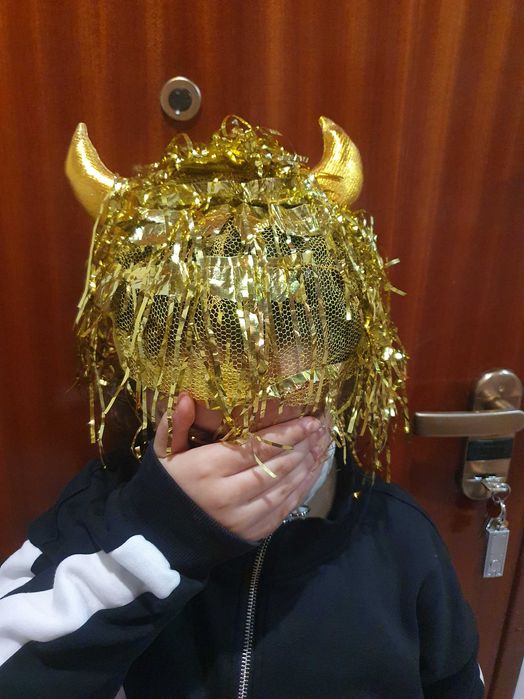 Carnival Mask (Assorted)64752093422979122