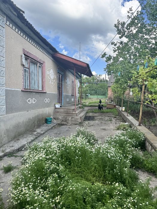 Продам будинок  рн Дроздовка