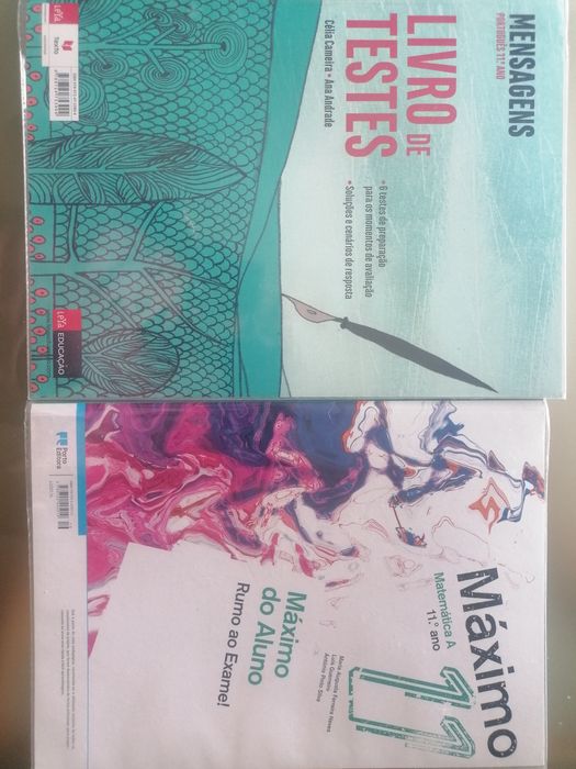 Cadernos de Atividades - 11.º Ano - como novos