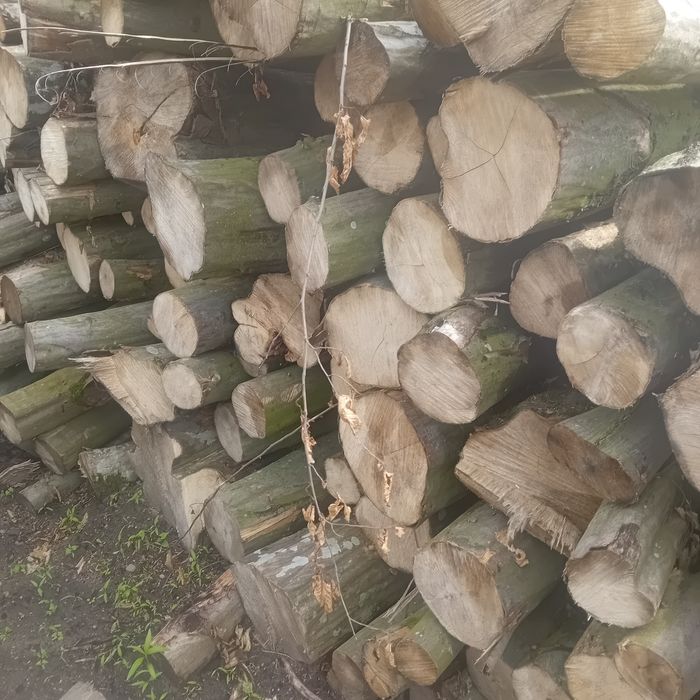 Drewno kominkowe grab