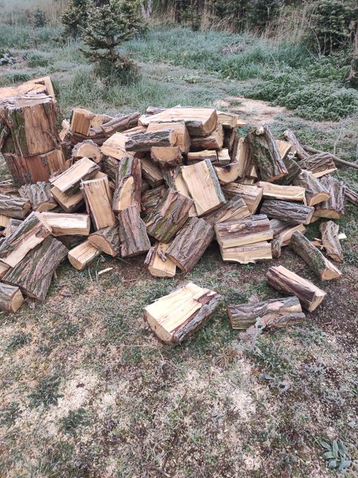 Drewno kominkowe i opałowe