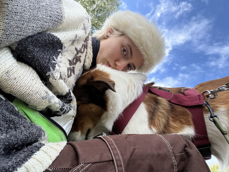 Opiekunka/niania/petsitter do zwierząt