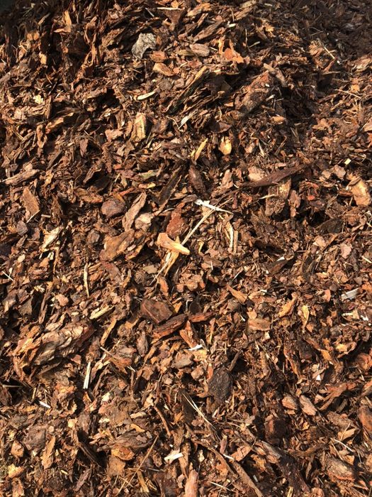 Kora sosnowa ozdobna drobna 0-3