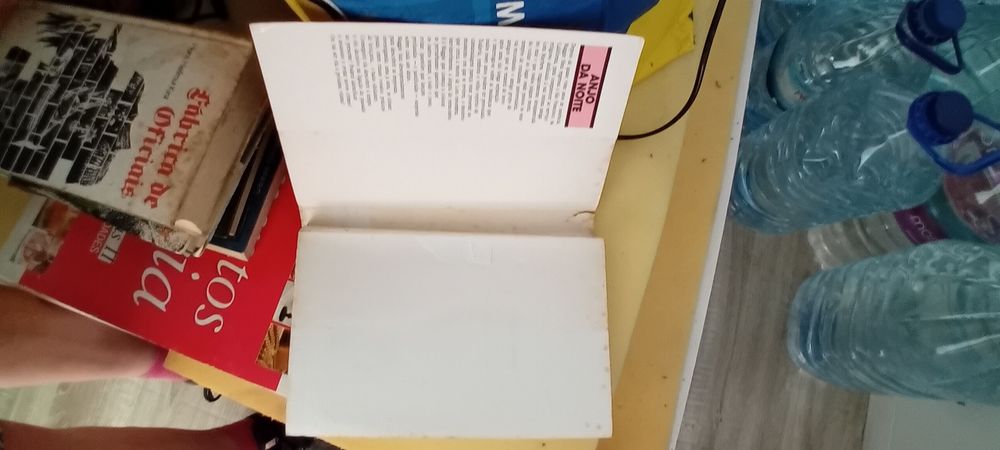 Livro Anjo da noite de Kate Green