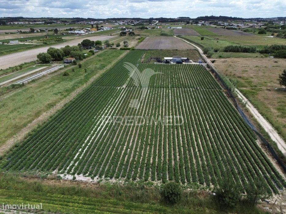 Terreno Rústico com furo e poço em Alpiarça – 11.040 m² — Alpiarça, Santarém